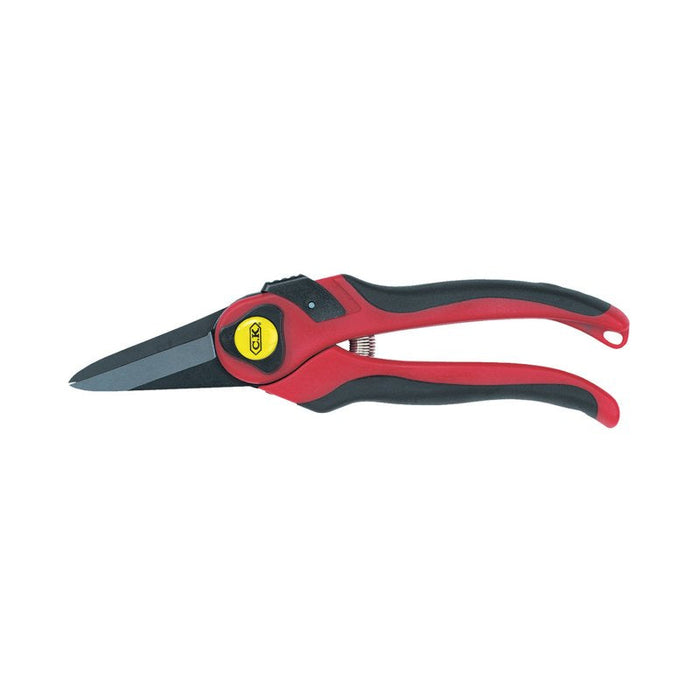 C.K Maxima Pruning Snips
