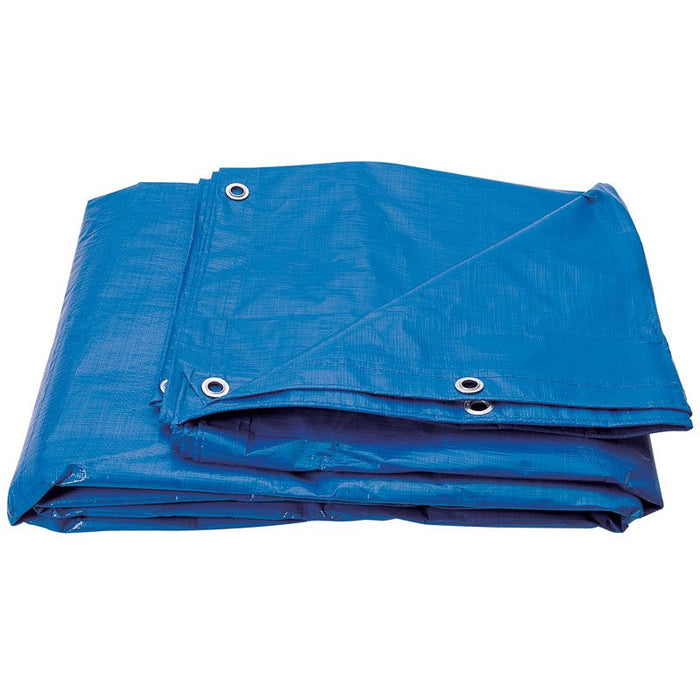Draper Tools Polyethylene Tarpaulin (4M x 6M)