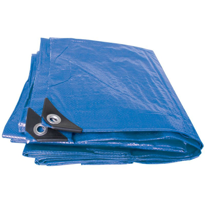 Draper Tools Heavy Duty Polyethylene Tarpaulin (5M x 8M)