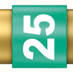 Wera 867/1 BiTorsion Diamond Coated TorxÂ® Bits TX30x25mm 066108