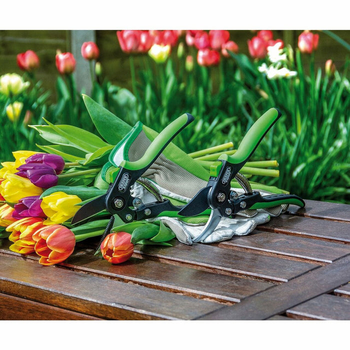 Draper Tools Anvil Pattern Secateurs, 200mm